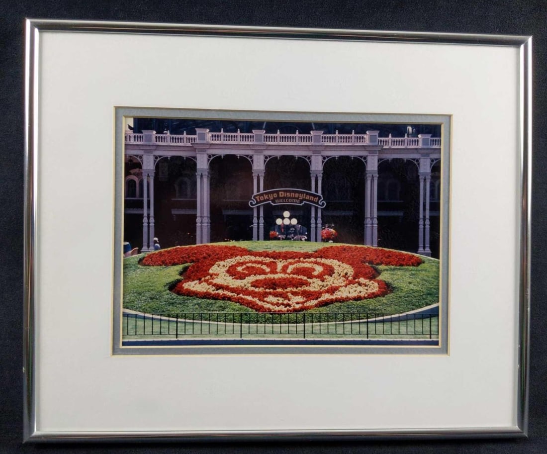 Vintage Mickey Mouse Tokyo Disneyland Framed Photo: Here is the Mickey Mouse Flower Arrangement at the main entrance of Tokyo Disneyland. This photo was taken the year the park opened back on April 15, 1983. Framed photo is approx 14" x 12" a