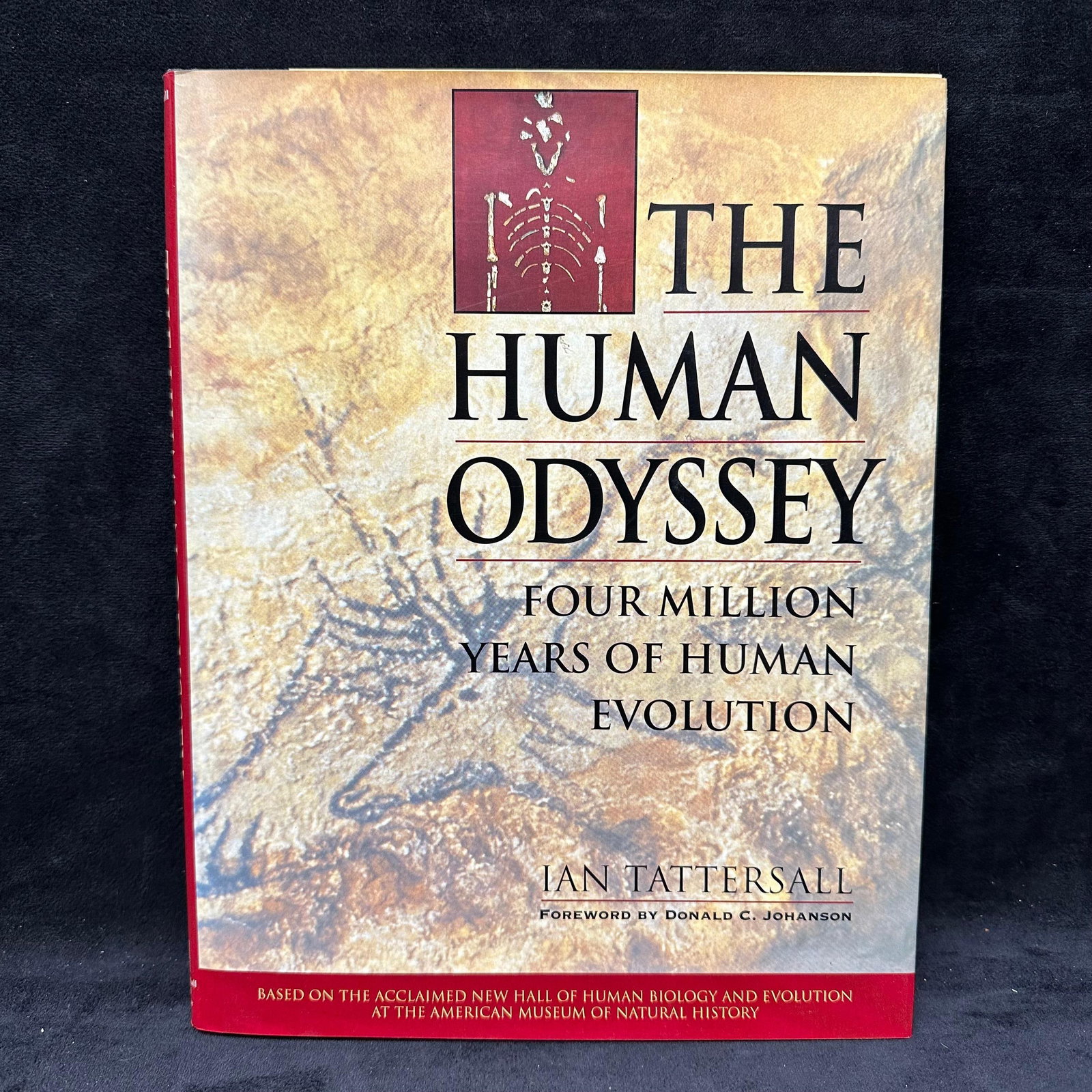 The Human Odyssey Ian Tattersall Hardcover Autographed Signed Book: Signed by Ian Tattersall with a personal inscription dated 1993 to Michel Roux. Includes original dust jacket. Condition shows general handling wear, scuffing, light rip, and surface marks to the