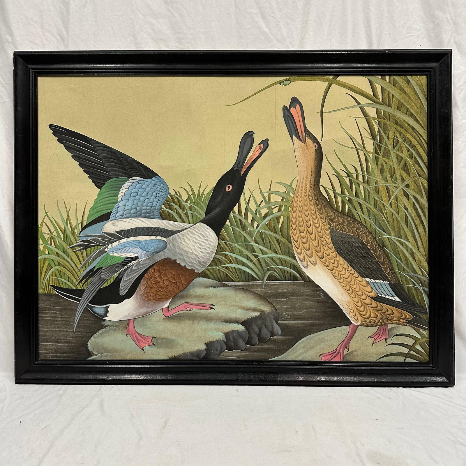 Serigraph Silk Screen Print on Canvas Shoveller Duck by John James Audubon Framed Art: Vintage silk screen print on canvas serigraph art, depicting a male and female duck beside a pond surrounded by tall grasses. The male duck is captured with vibrant green, blue, and chestnut tones, wh