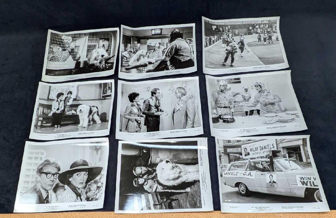 9 Disney The Shaggy D.A. B/W Publicity Photos: 9 Disney The Shaggy D.A. B/W Publicity Photos. Each photo print is approx 10" x 8" and the total weight is 0.19lb. Some of the corners are creased and the envelope has some shelf wear.