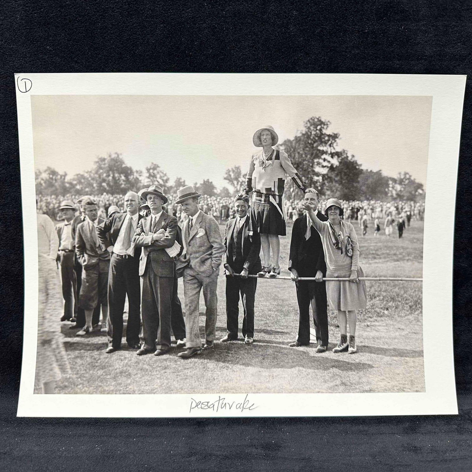 Golf Tournament Crowd Photograph Print Spectators on the Fence Black and White C: Black and white vintage photograph showing a lively 1920's golf tournament crowd, with spectators dressed in classic period attire. One woman stands on a rail for a better view. This version of th