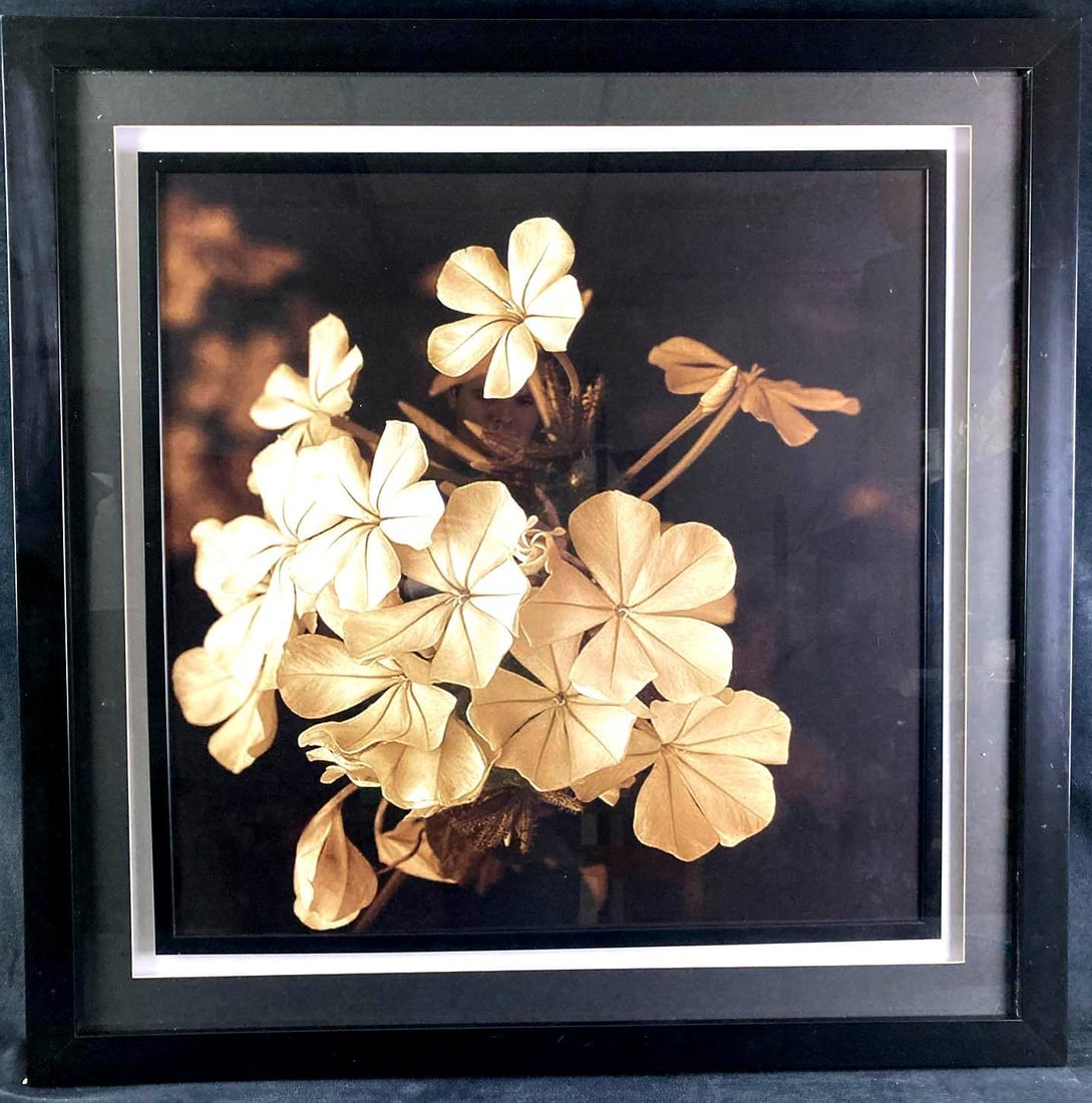 Framed Photograph of Flowers: This lot includes: (1) Large Framed Photograph of Flowers The condition is used and see photographs for additional details. The flowers are slightly pixilated from being enlarged,