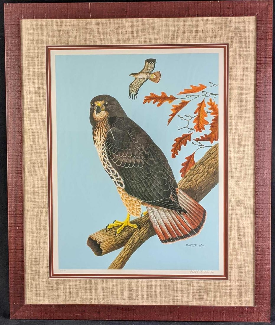 Framed Karl Karalus Limited Edition Signed Hawk Lithograph: Subject: Hawks Size:29" x 1" x 35" Weight (with bonus):12lbs. Limited Edition Lithograph. #2 out of #600 Bonus:Florida'