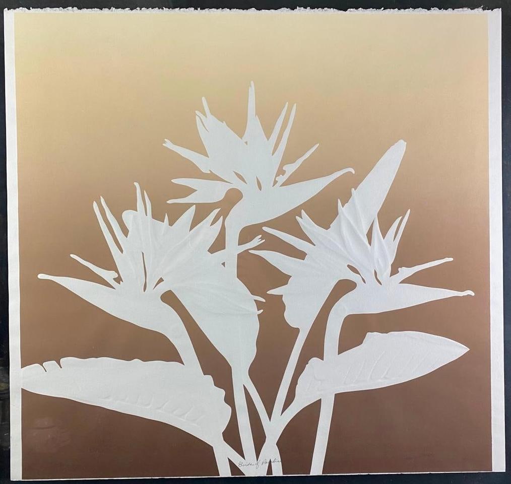 Birds of Paradise Print Ken Rich: "Birds of Paradise" Print Ken Rich Large serigraph by artist Ken Rich, in a floating glass frame. The print and frame appear to be from the 1980s. The print is also embossed to give texture