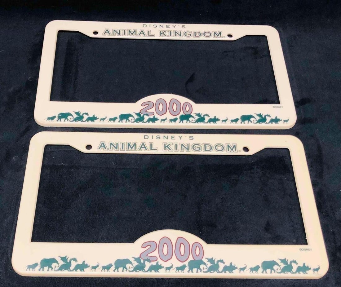 Two Of Disney's Animal Kingdom 2000 License Plate Borders: This lot contains Two Of Disney's Animal Kingdom 2000 License Plate Borders. Each license plate is approx 6 1/4" x 12 1/4" and altogether they weigh about 0.2lbs. Overall the set is in good used condi