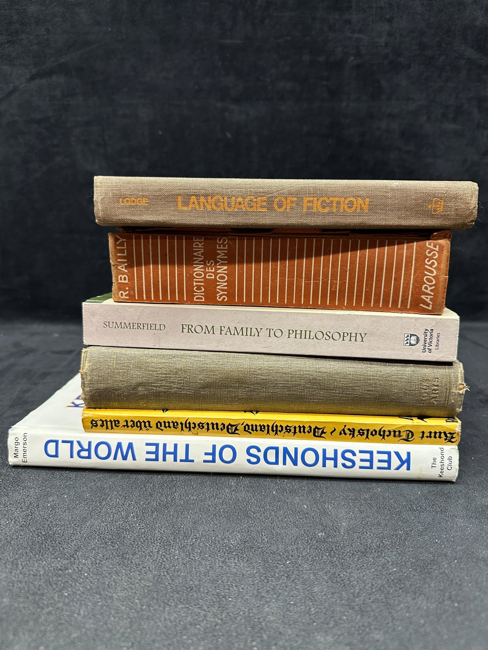 Assorted Foreign Language And Literary Reference Books Collection - 10