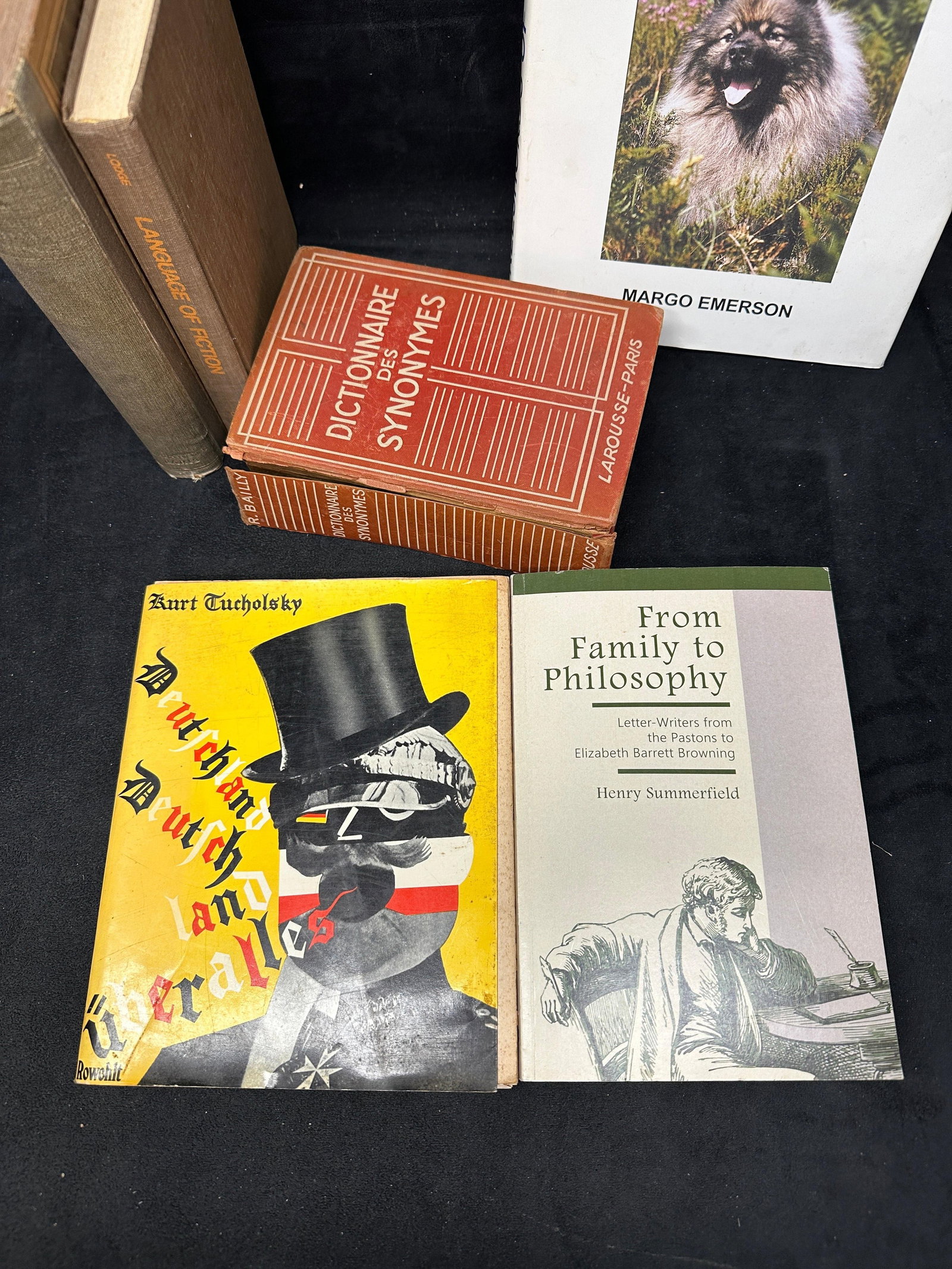 Assorted Foreign Language And Literary Reference Books Collection - 2