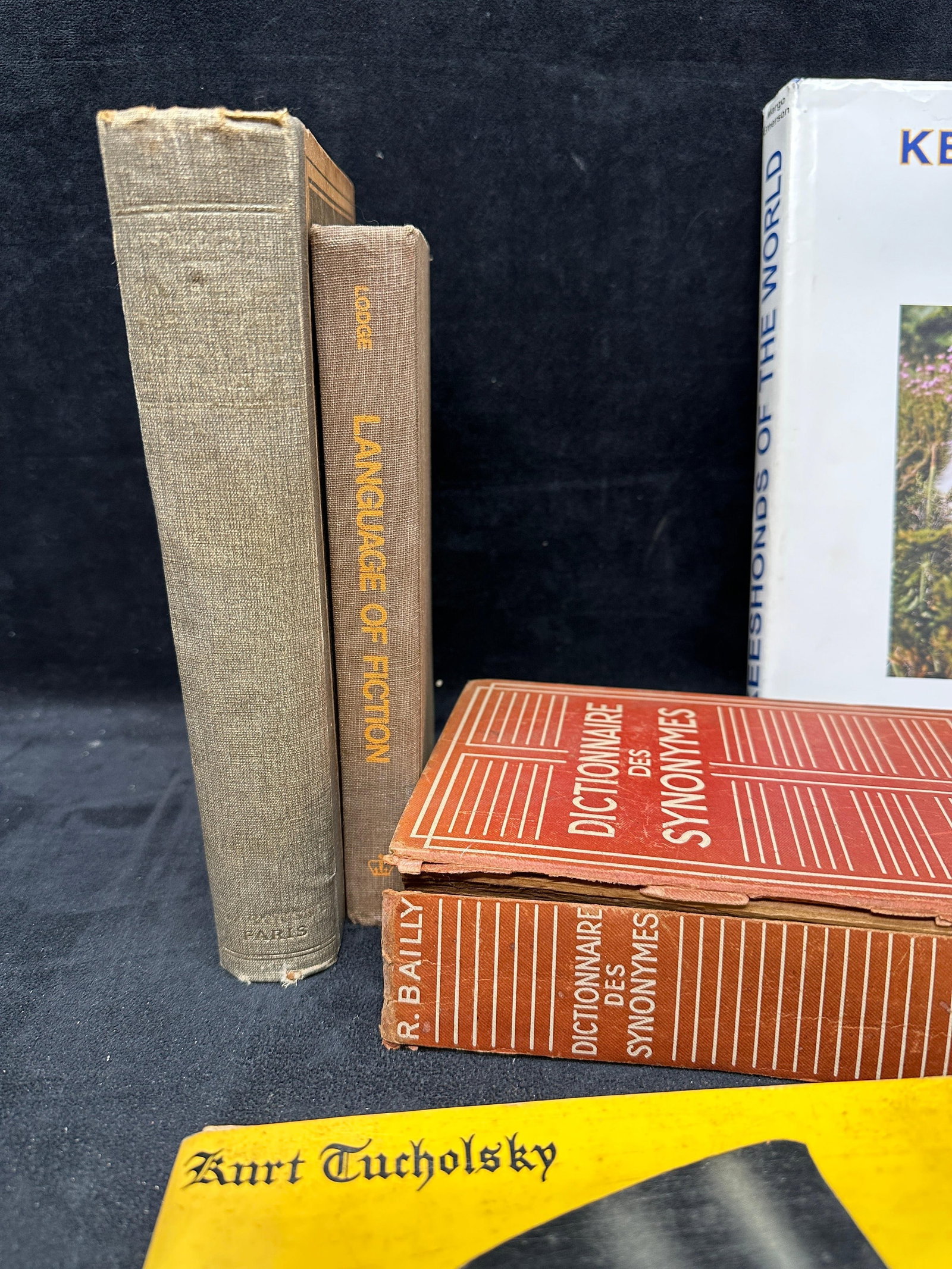 Assorted Foreign Language And Literary Reference Books Collection - 3