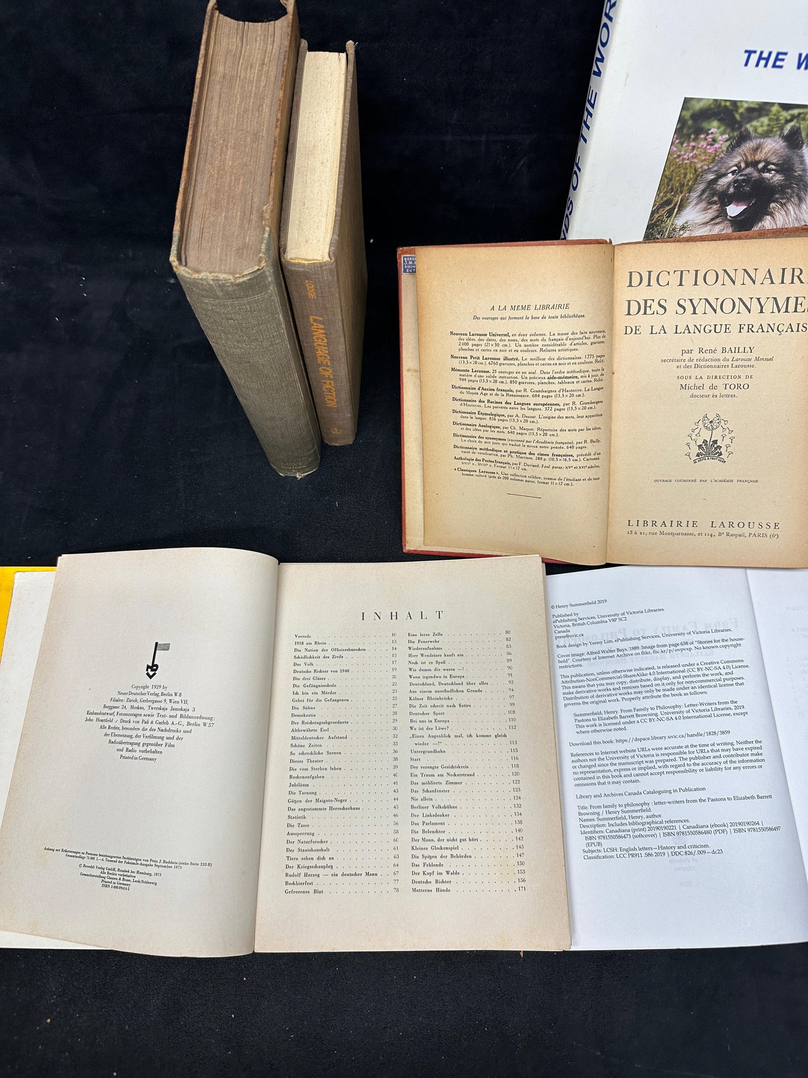 Assorted Foreign Language And Literary Reference Books Collection - 4