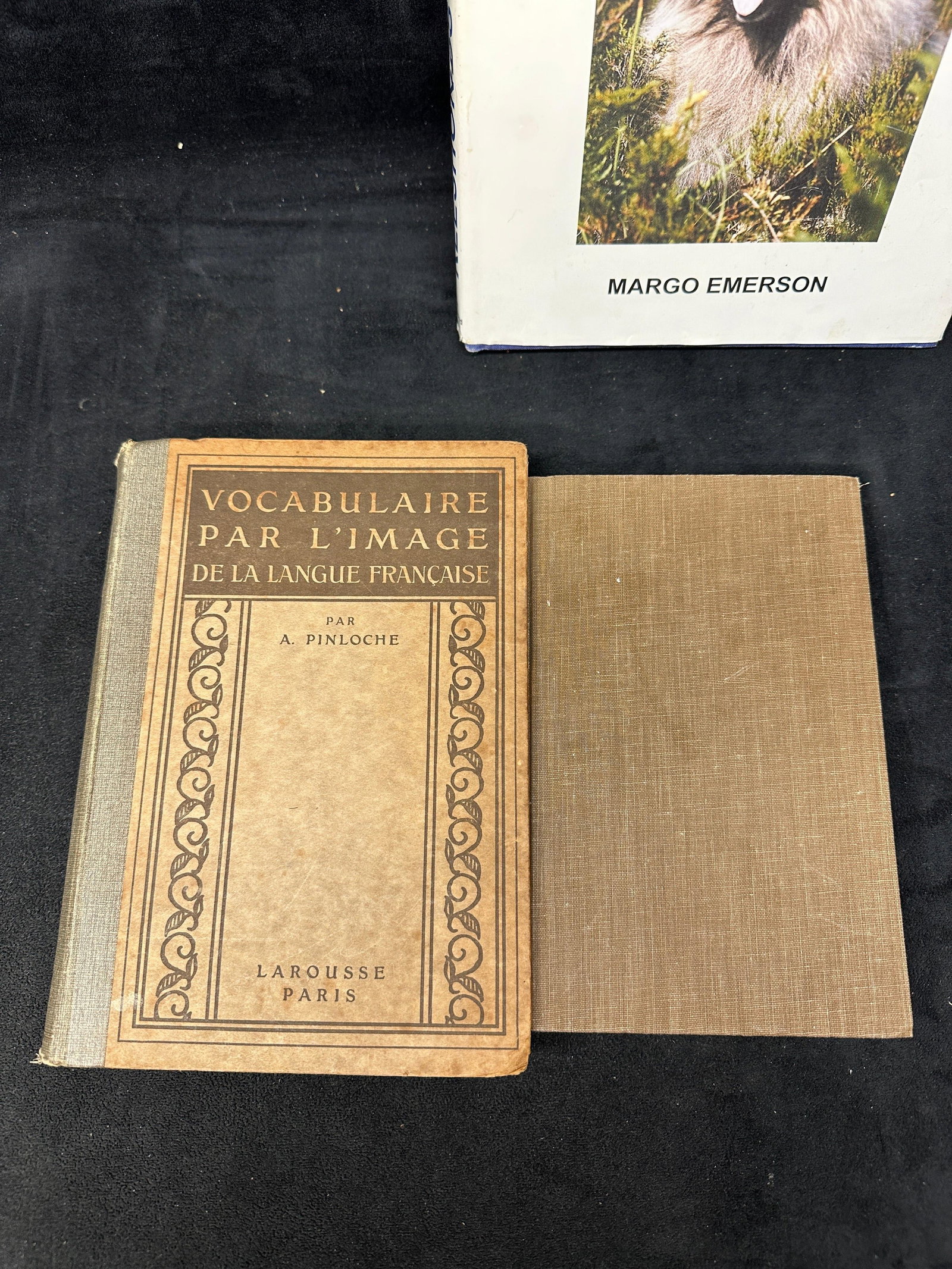 Assorted Foreign Language And Literary Reference Books Collection - 6