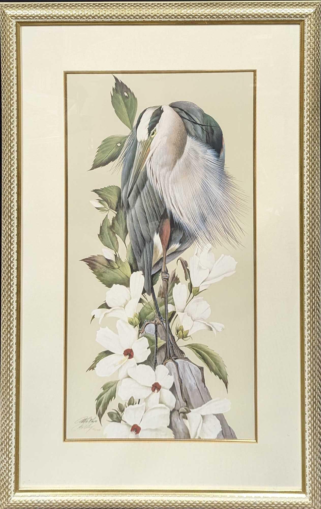 Framed S&N Art Lamay Great Blue Heron Print: Framed S&N Art Lamay Great Blue Heron Print. This one is #185 out of #1800. This is signed by the artist on the left under the printed signature. The framed print is approx 28 1/2" x 1 1/4" x 43 1/2"