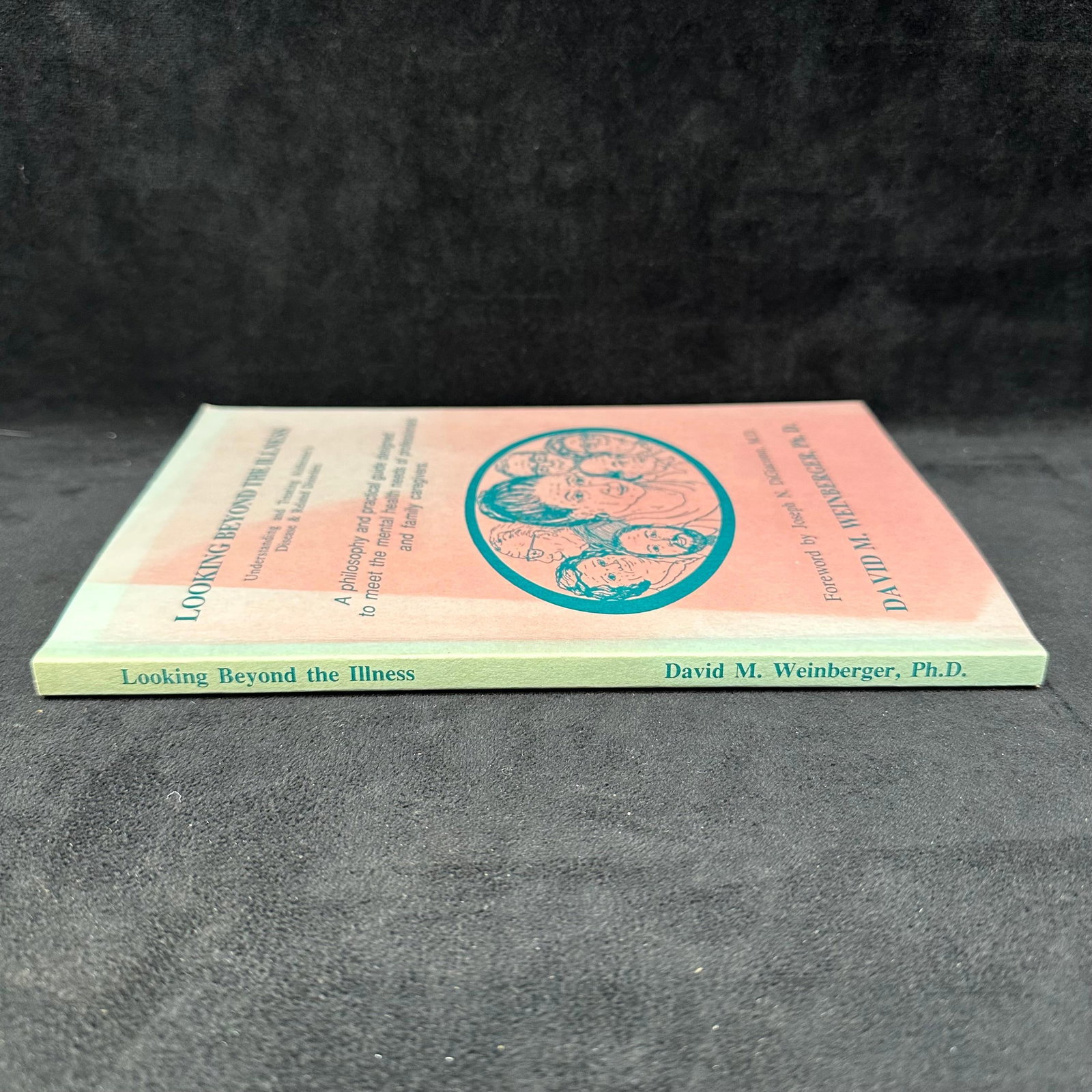 Looking Beyond The Illness Signed Softcover Book - 7