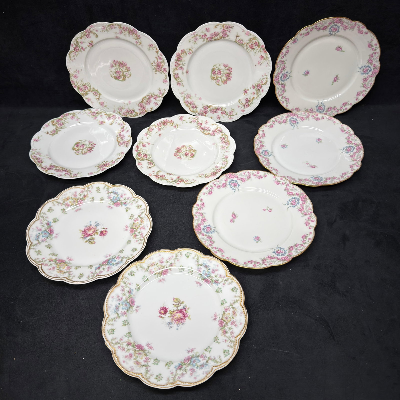 Group of Vintage Limoges and Haviland France Floral Porcelain Plates 9 Pieces (1 of 10)
