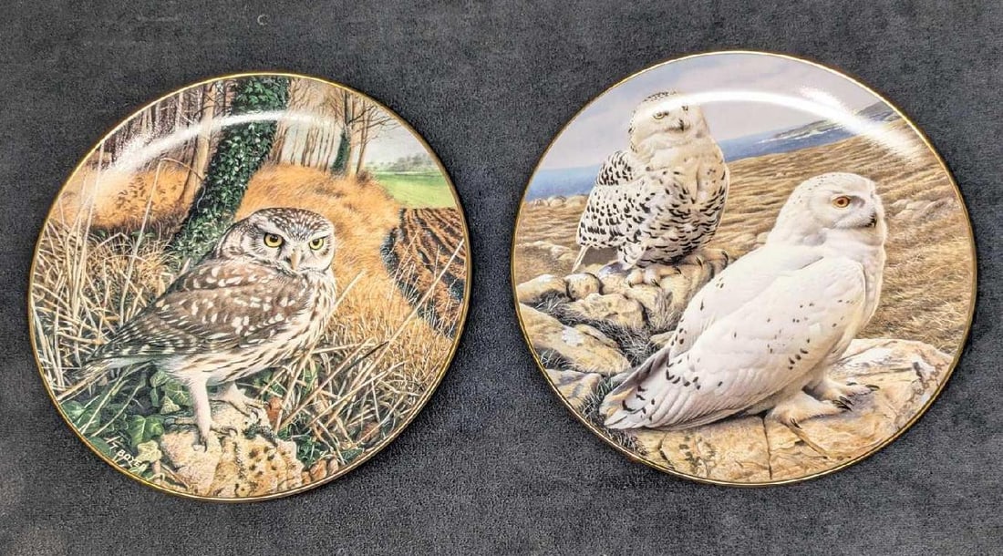 2 Majesty Of Owls Plates Watchful Eyes & On Arctic Royalty: This lot includes: (1) Watchful Eyes - The Majesty Of Owls Plate. This was released in the year 1992. This is approx 8 1/8" x 8 1/8" x 3/4". (1) Arctic Royalty - The Majesty Of O