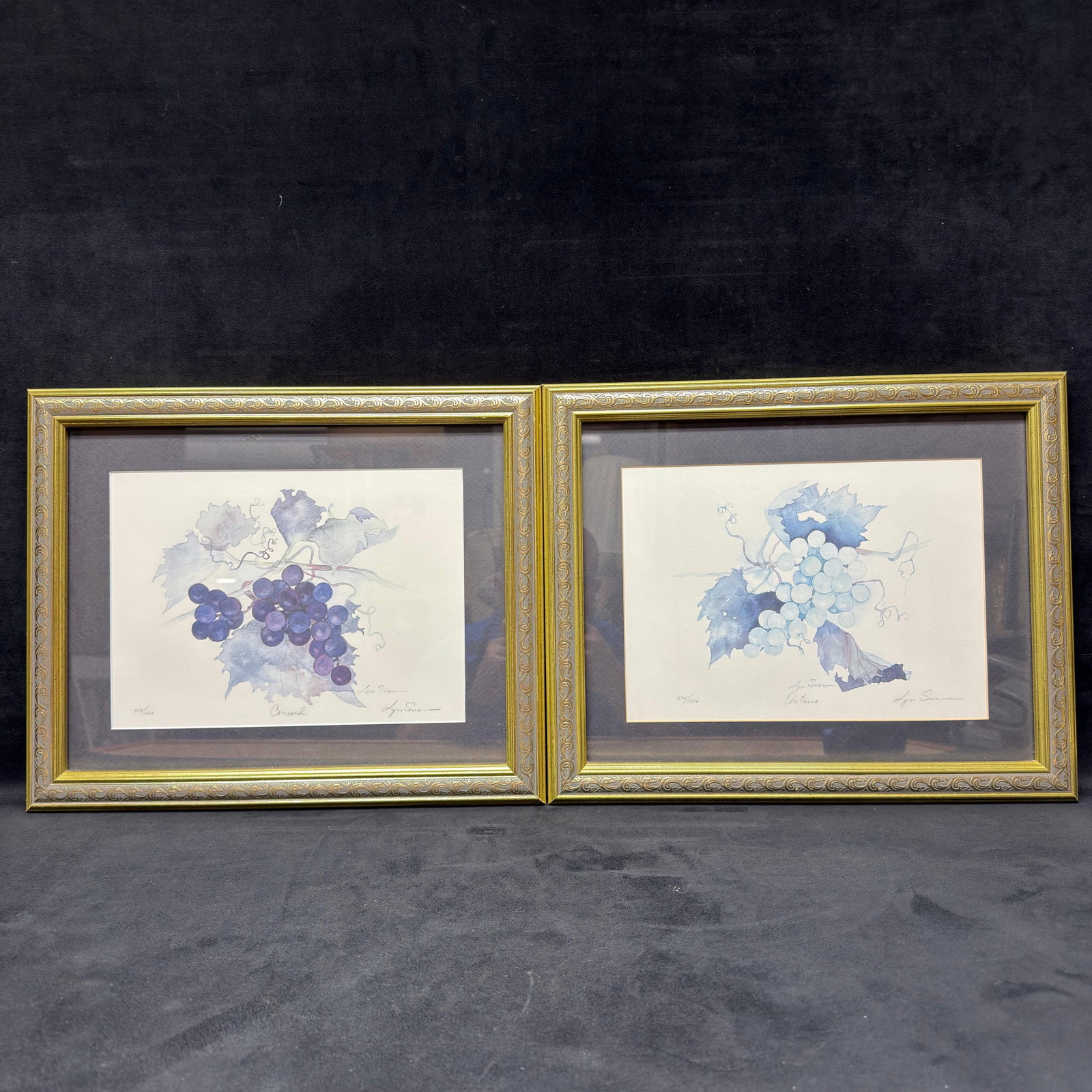 Pair of Lyn Snow Signed Numbered Botanical Grape Framed Prints: Matching pair of limited edition botanical prints by Lyn Snow, featuring grape varietals titled "Concord" and "Ontario." Both prints are pencil-signed by the artist, titled, and indivi
