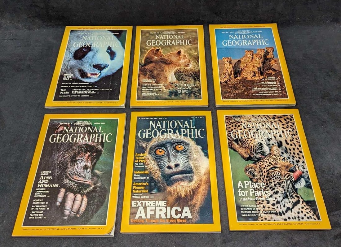 6 1980s 1990s 2000s National Geographic Magazines X: 6 1980s 1990s 2000s National Geographic Magazines X. This lot includes: (1) July 1996 - A Place For Parks. (1) March 2001 - Extreme Africa. (1) May 1980 - Cheetahs Of The Serengeti. (1) March 1992 -