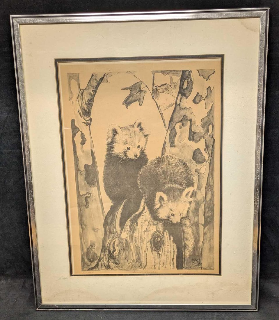 Framed S&N Warren Cutler Lesser Red Pandas Print R72: Framed S&N Warren Cutler Lesser Red Pandas Print R72. This is approx 20" x 3/4" x 25 1/2" and it weighs 5.80lb. The print is discolored and there is some damp-staining on the border. The frame has mar