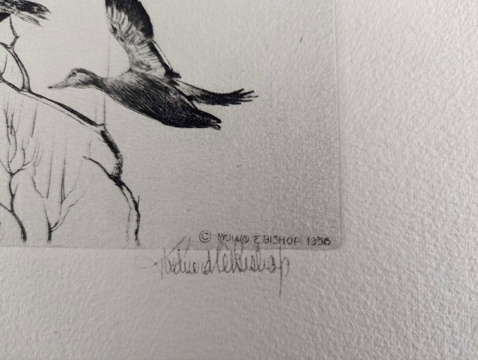 Original Richard E Bishop Etching - 5