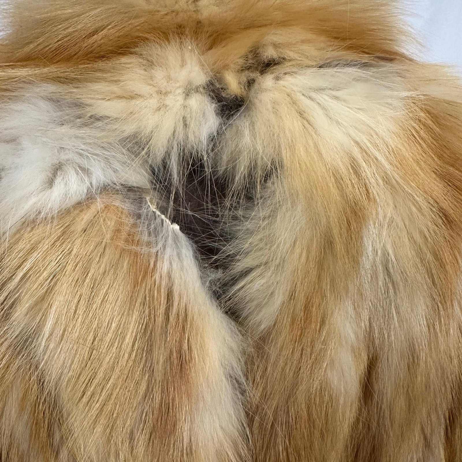 Fur Coat Red Fox - 16