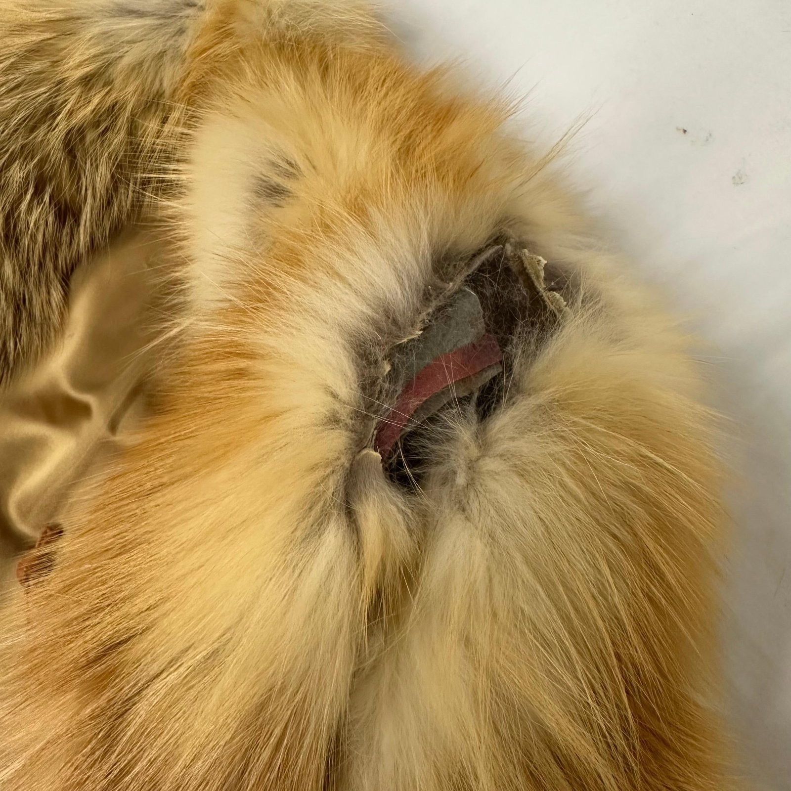 Fur Coat Red Fox - 6