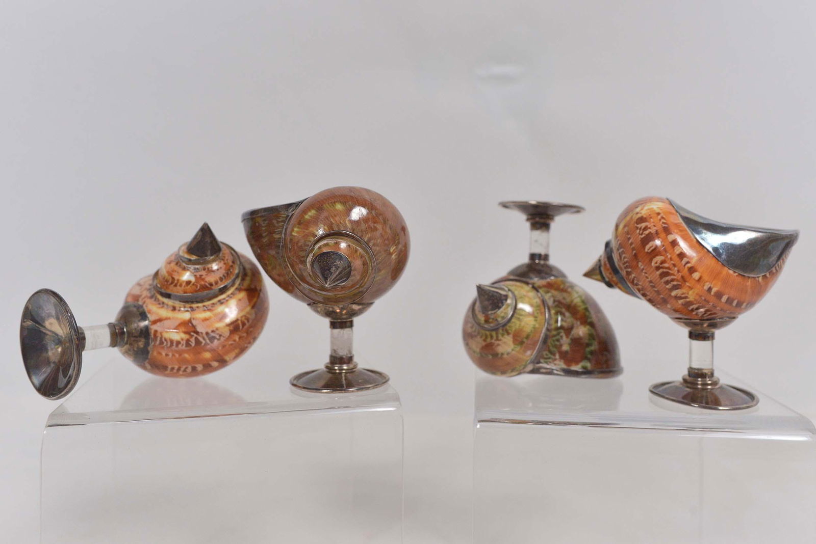 Set of 4 seashell and sterling silver salt cups - (1 of 3)