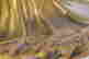 item-112942910=4