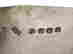 item-122197106=6