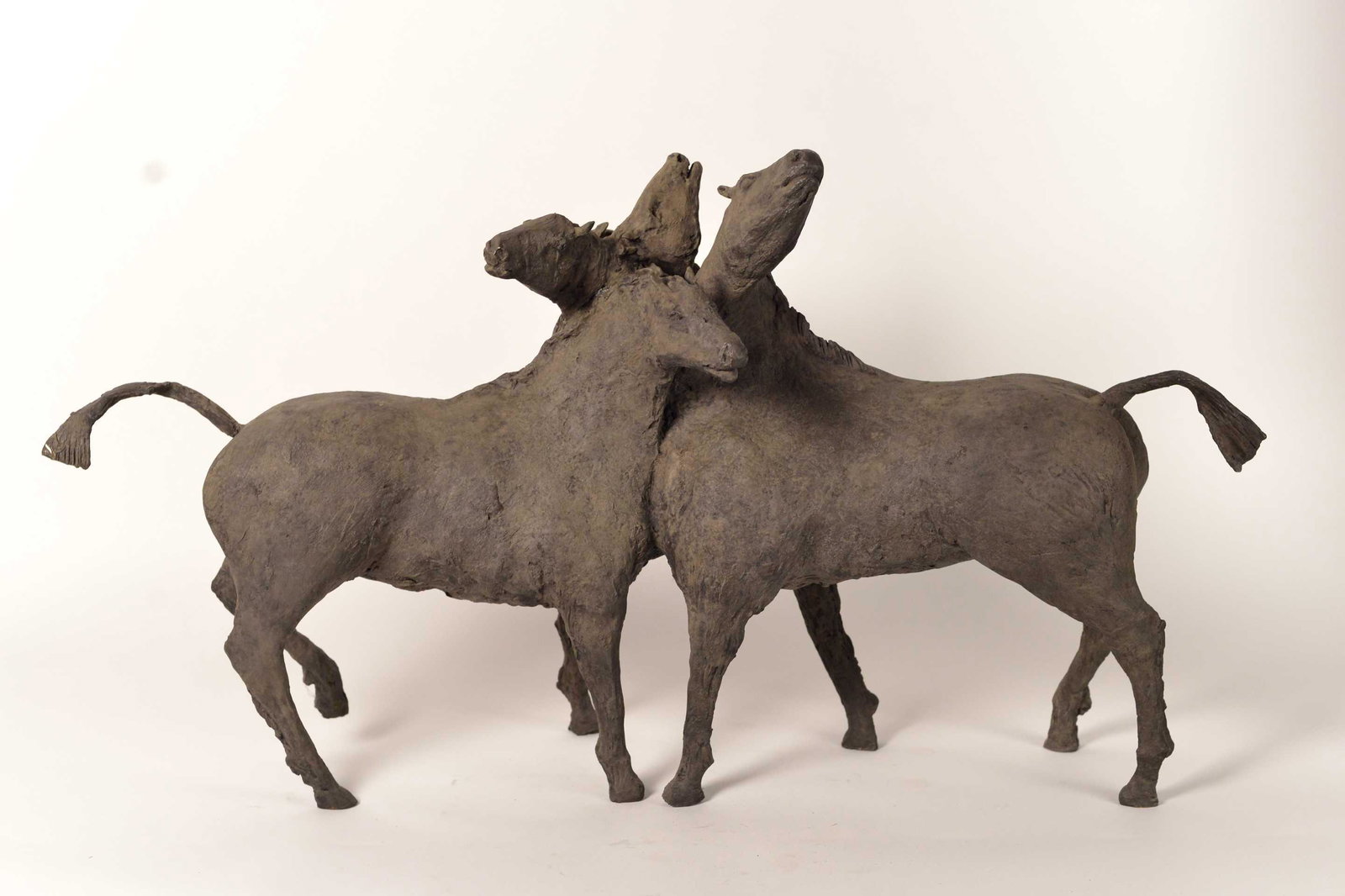 École canadienne - Chevaux (1 of 6)