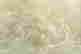 item-130580203=3