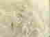 item-130580203=5