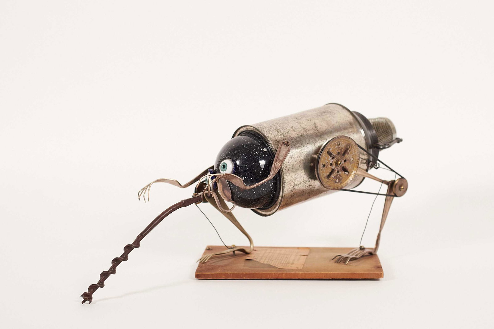 Misic, Branimir - Mosquito (1 of 7)