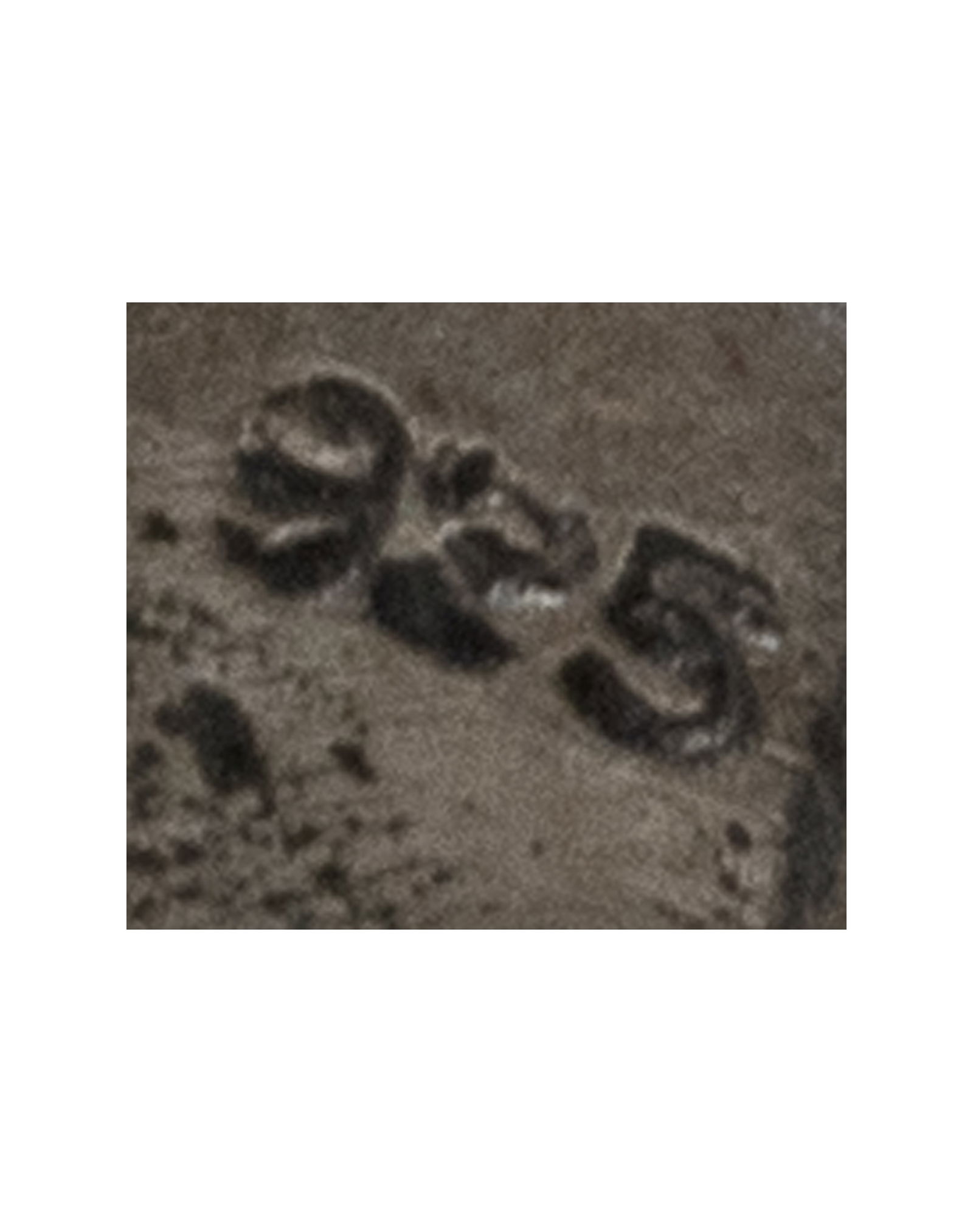 Sterling Silver Marcassites Ring - 5