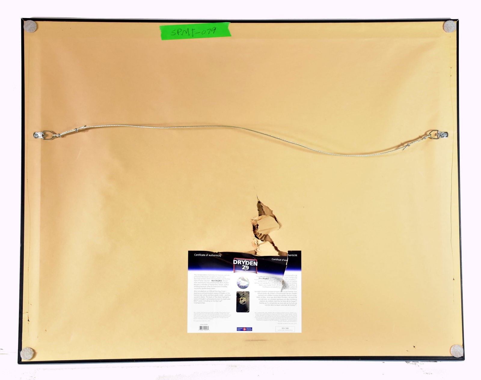 Ken Dryden - Framework - 6