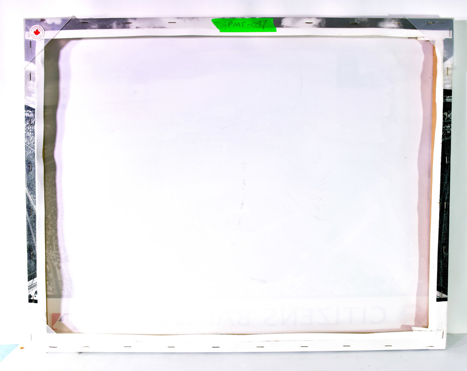 Framed Printed Art of the Citizens Bank Park - 2