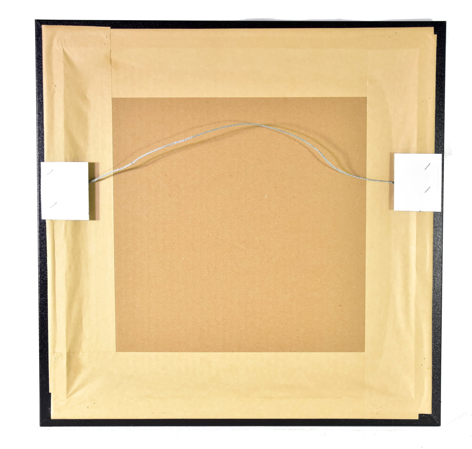 Tiger Wood - 2019 Master Champion Photo - 4