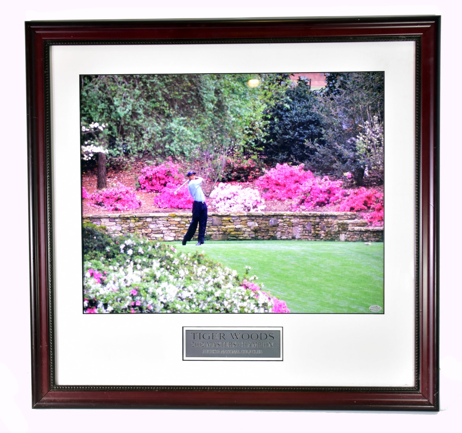 Tiger Wood - Framework: Tiger Wood Encadrement Encadrement de la victoire de Woods au master en 2002 Rapport de condition: Excellente condition ------------- Tiger Wood Framework Framework from Woods' 2002 masters