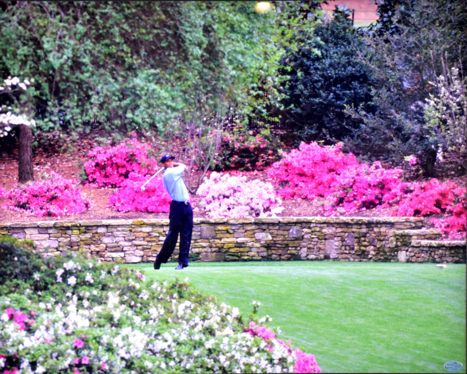 Tiger Wood - Framework - 2