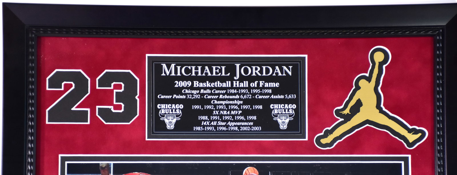 Michael Jordan - 2009 Hall of fame - 3