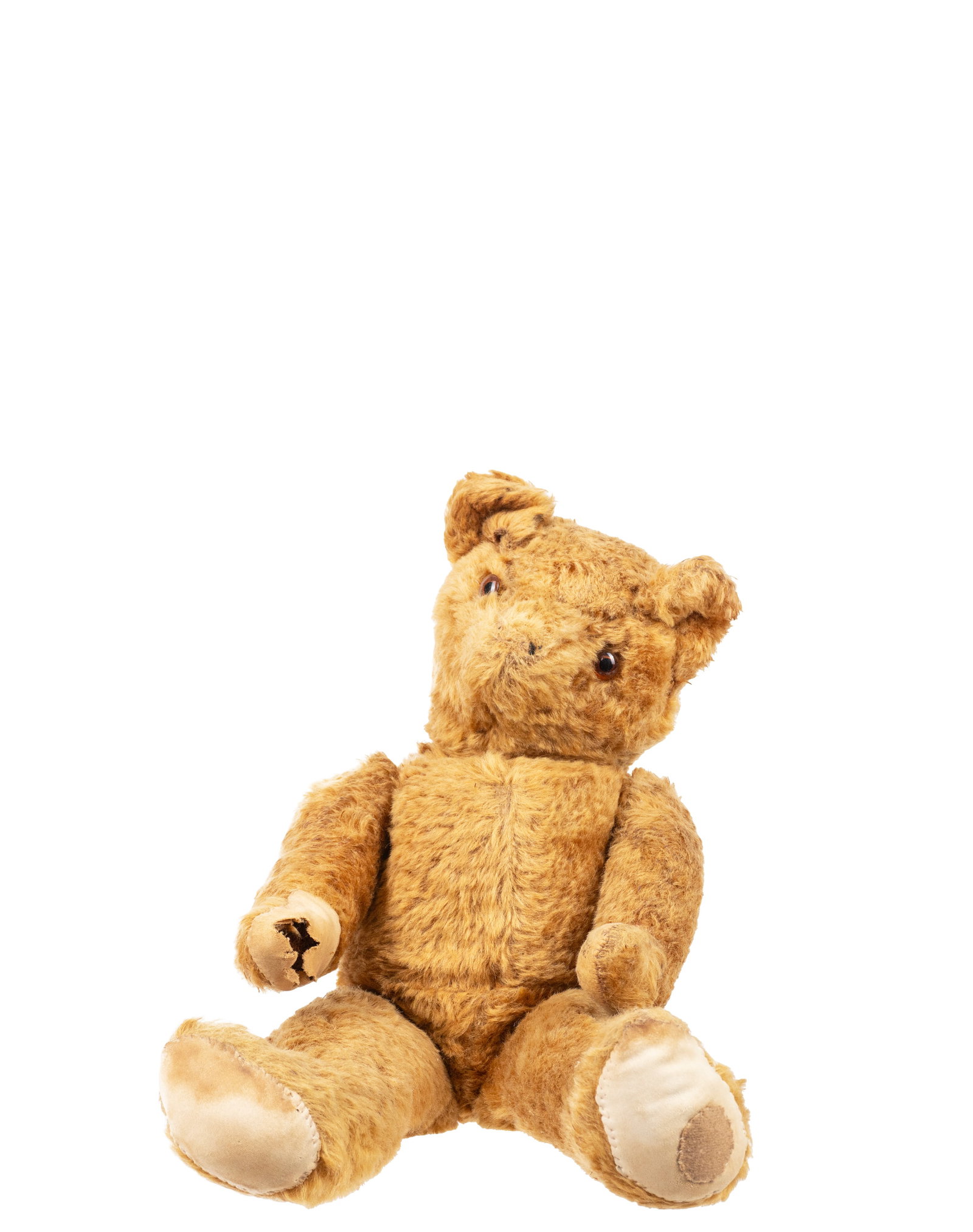 Lot of vintage teddy bears - Début XXe siècle - 6