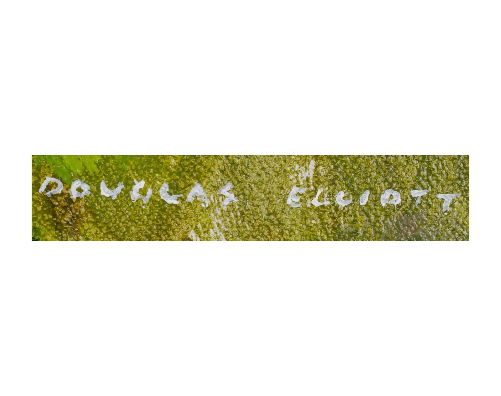 Elliott, Douglas Ferguson - "Secluded Cove" - 2