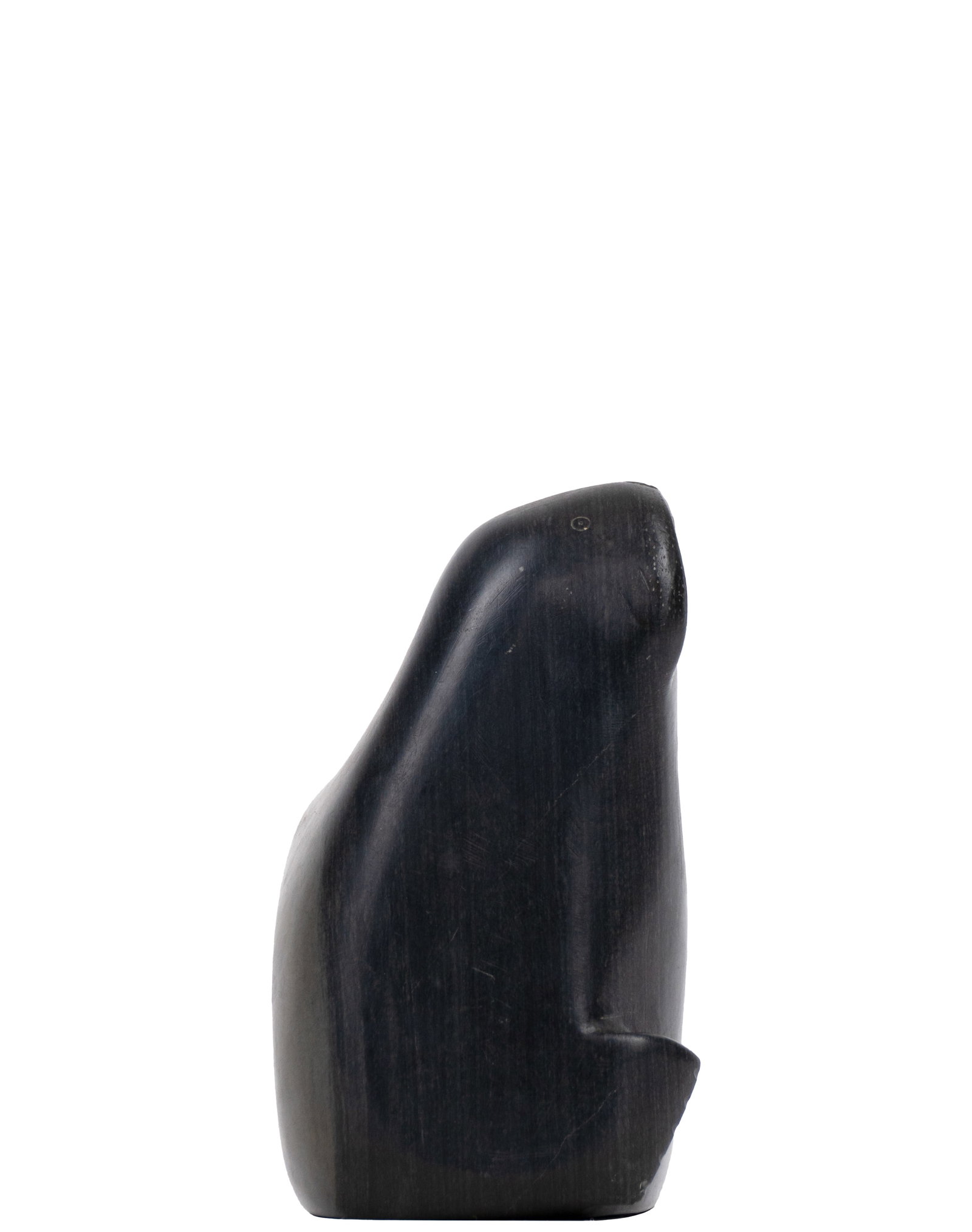 Alika, Joe - Seal - 2