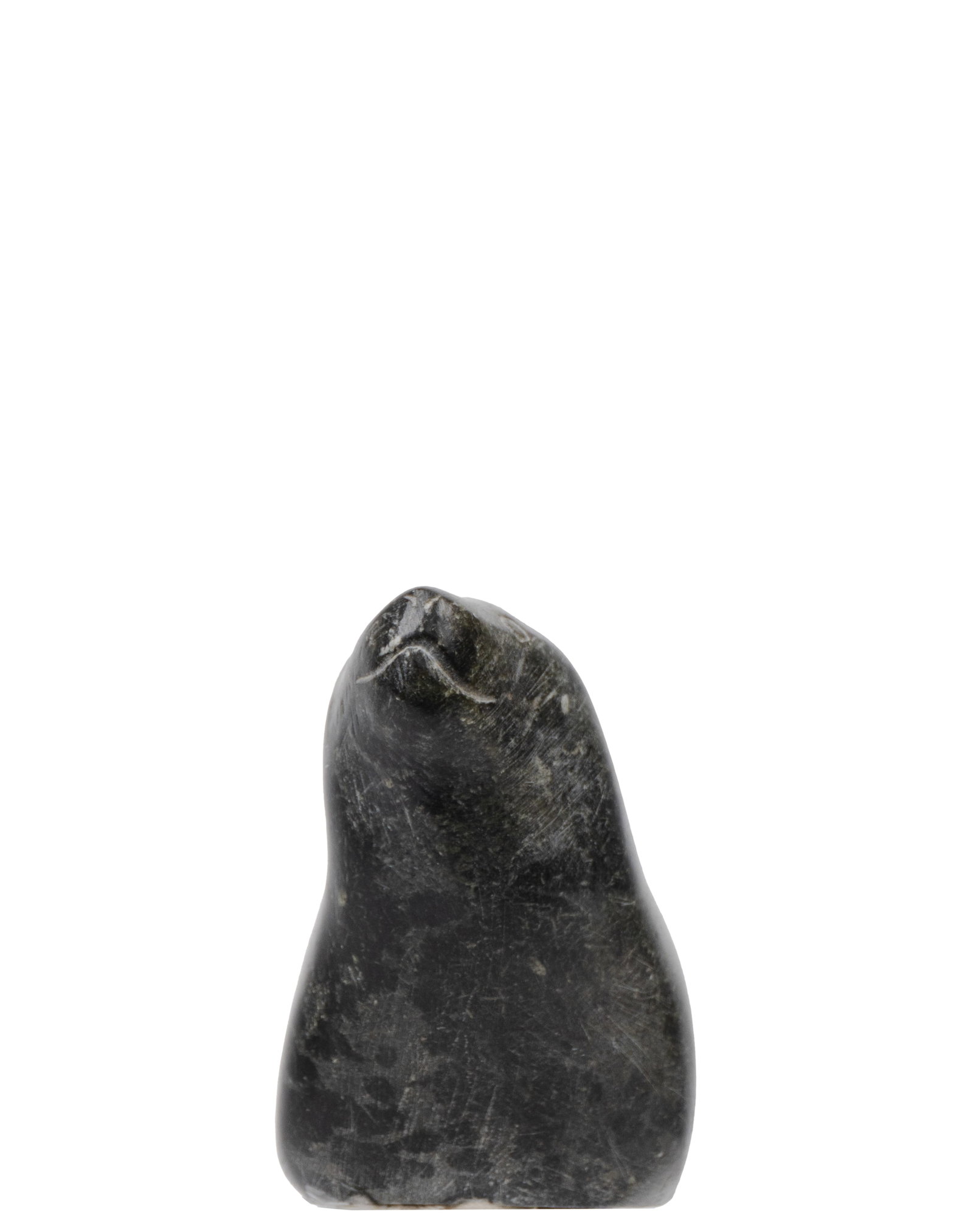 Weetaluktuk, Simeonie - Seal - 2