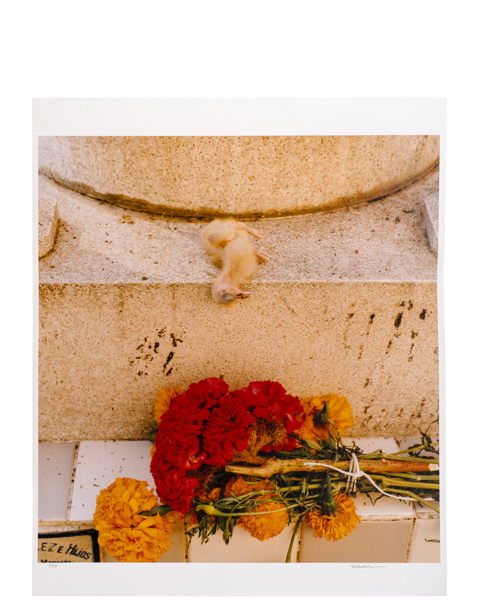 Burton, Valérie - "Day of the dead" - 1996: Burton, Valérie (1950-) "Day of the dead" (1996) Photographie signée en bas à droite et numérotée 1/10 Dimension: 24" x 20" 60 x 50 cm ------------- Burton, Valérie