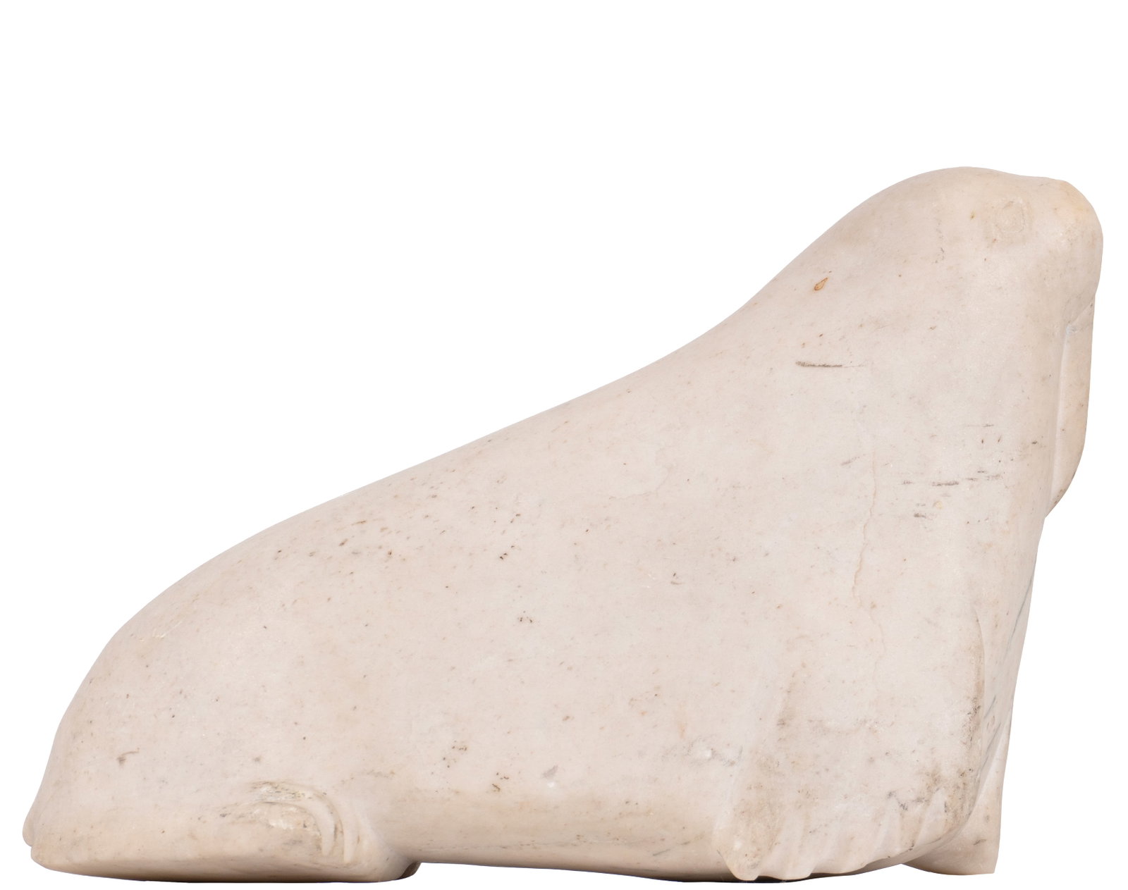 École Inuit / Inuit School - White walrus - 3