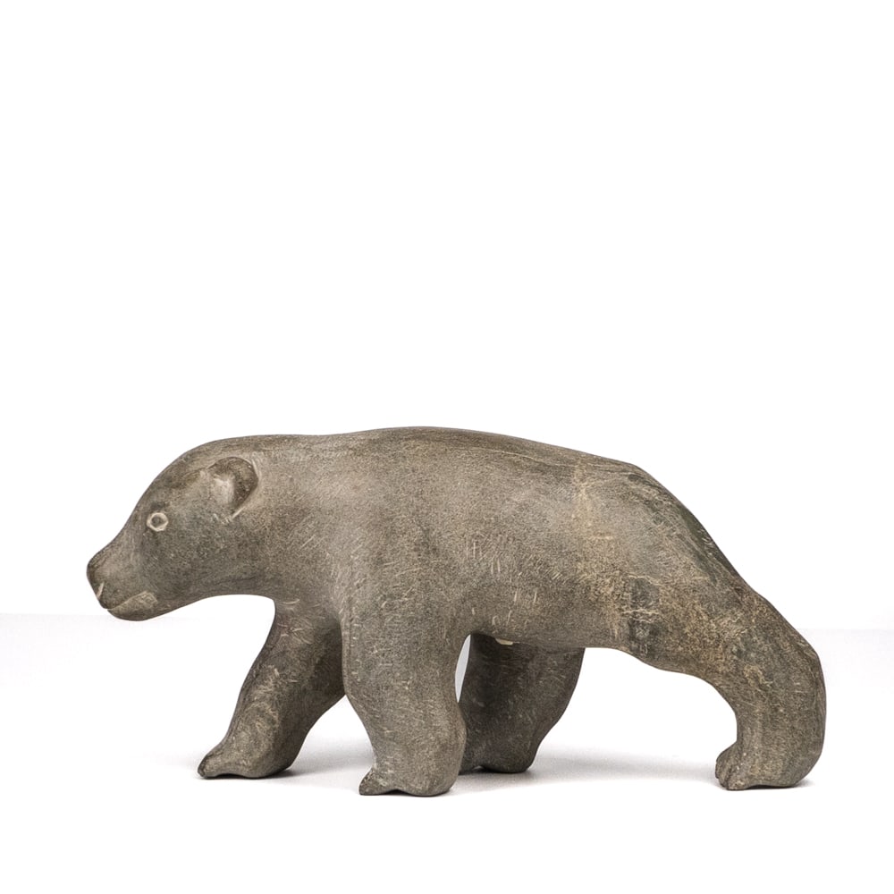 Non identifié / Unidentified - Bear - 3