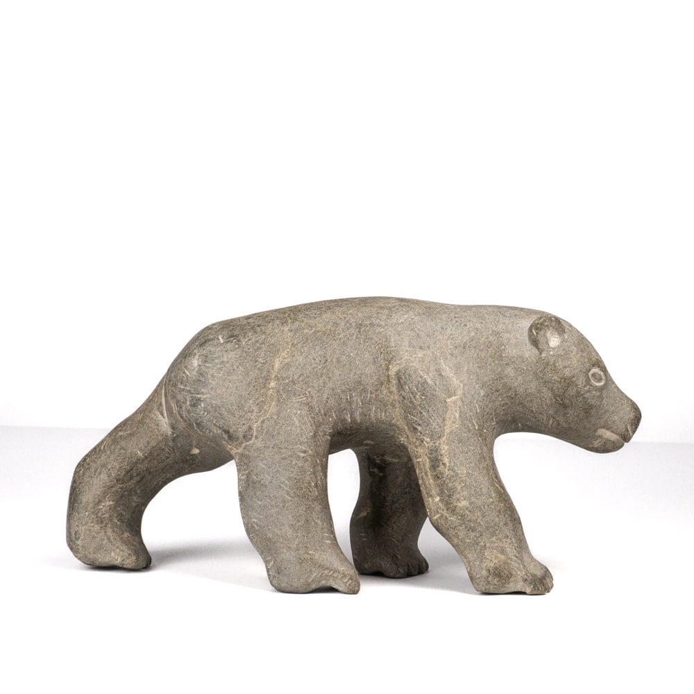 Non identifié / Unidentified - Bear - 4