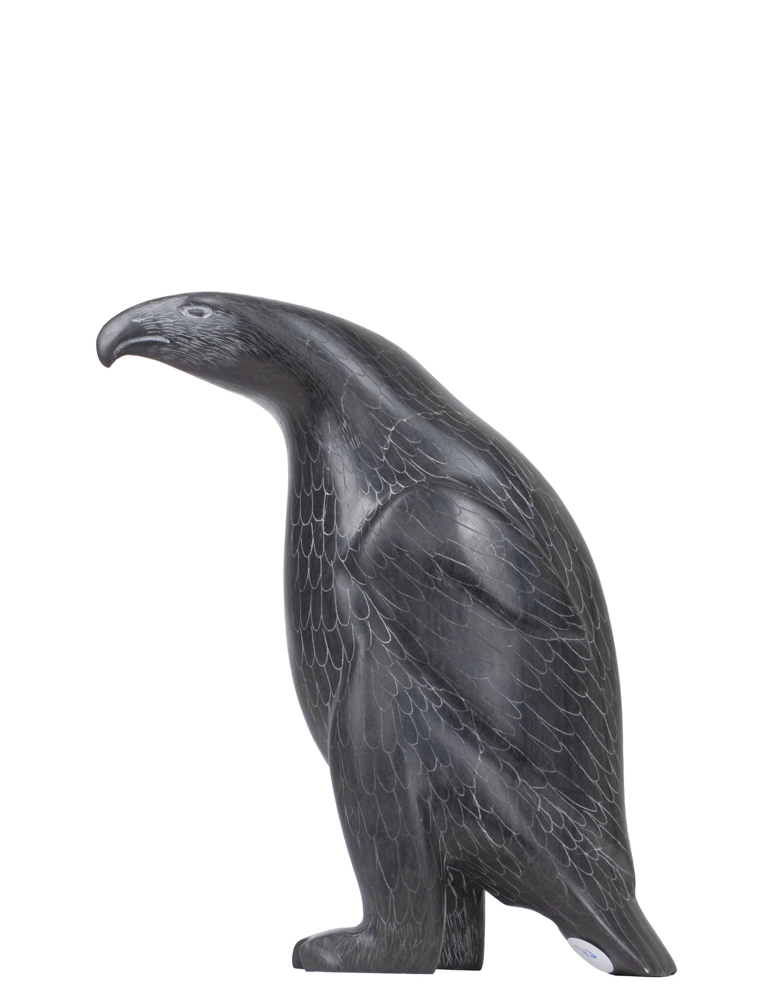 Iqaluq, Samwillie - Falcon (1 of 6)