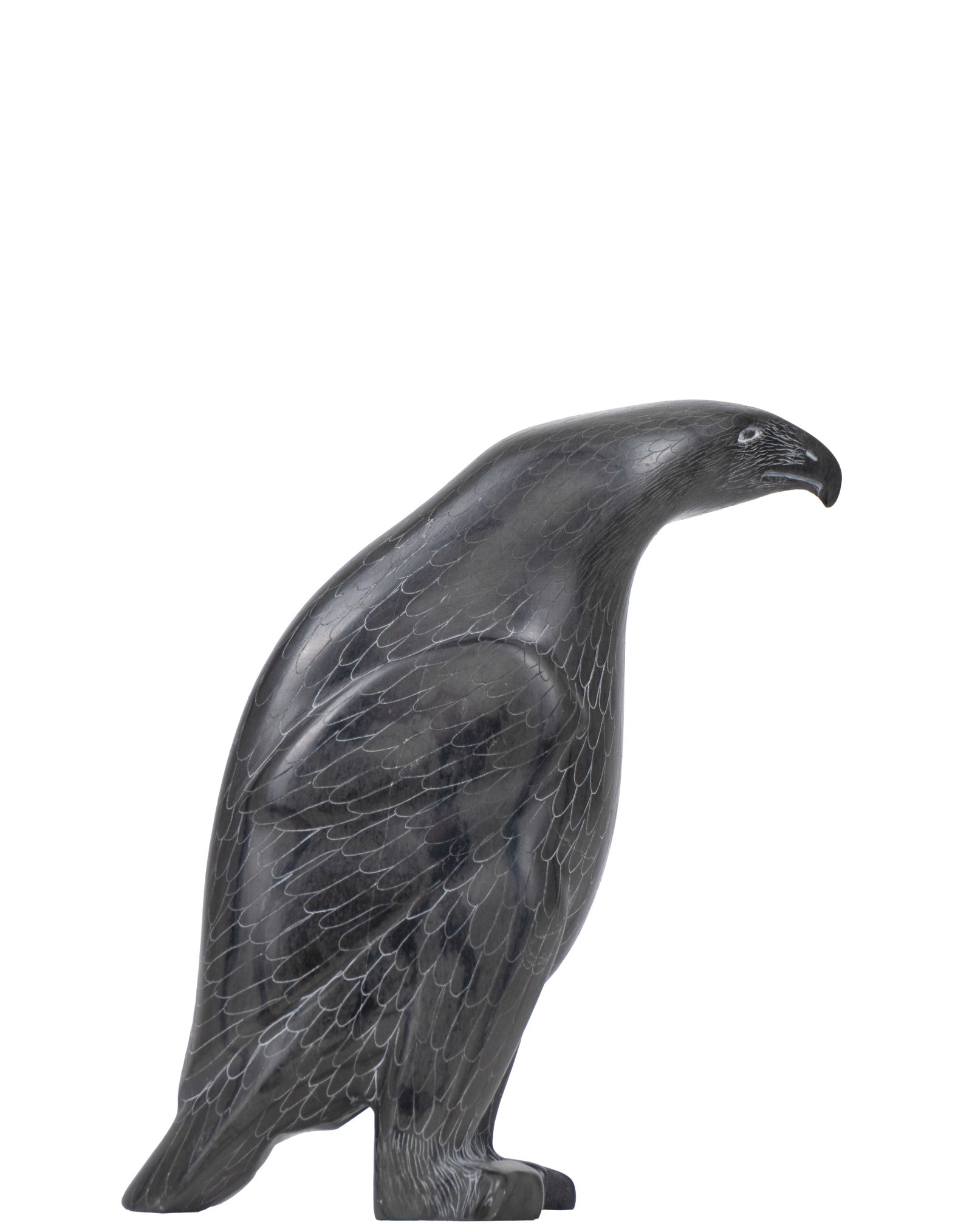 Iqaluq, Samwillie - Falcon - 4