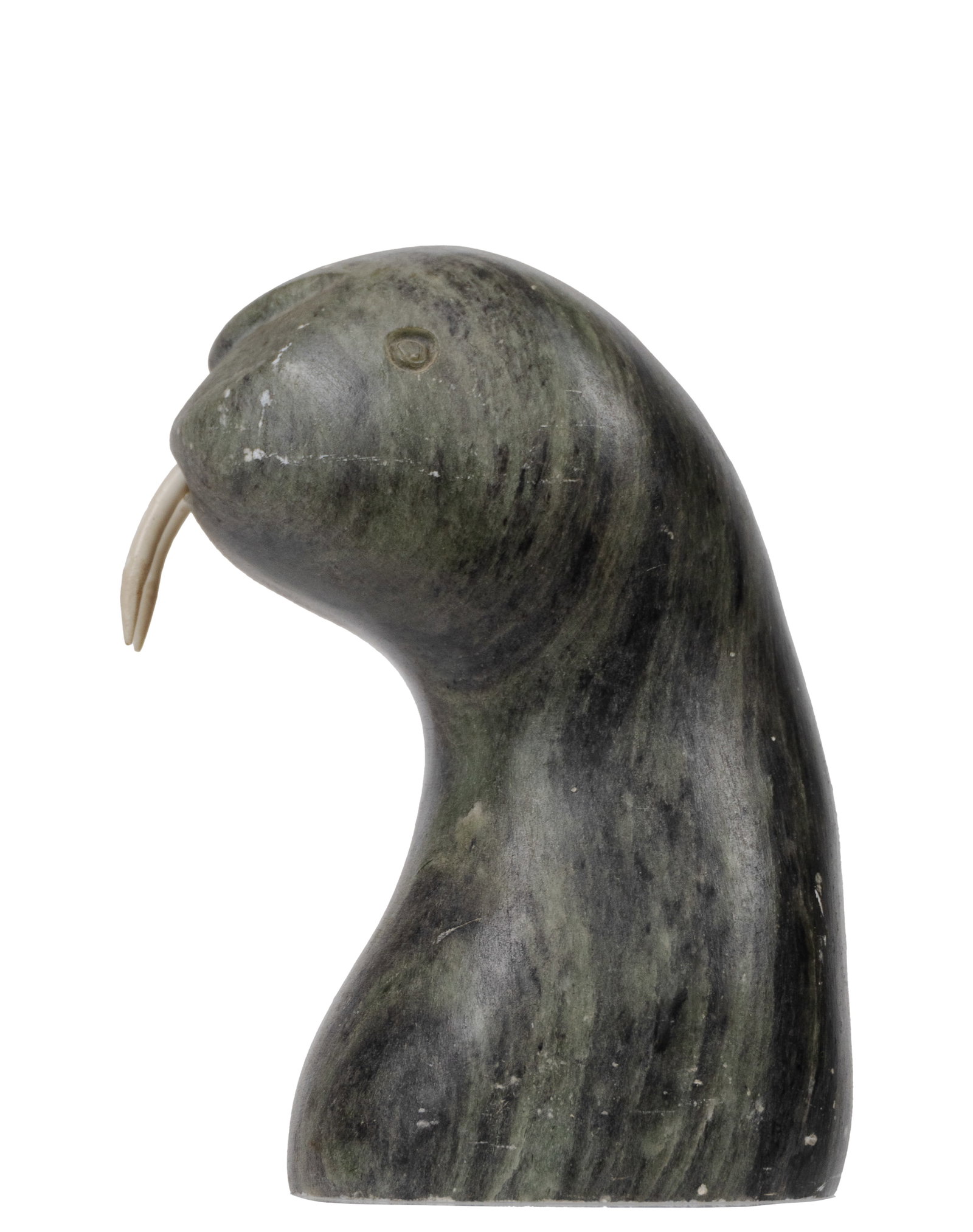 Muckenheim, DIMU - Seal - 2