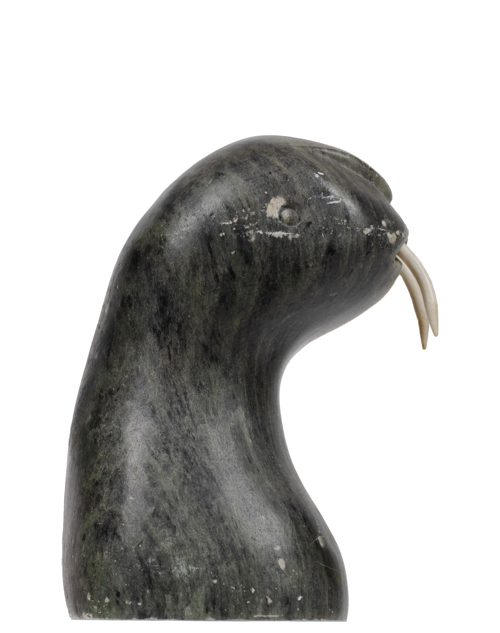 Muckenheim, DIMU - Seal - 3